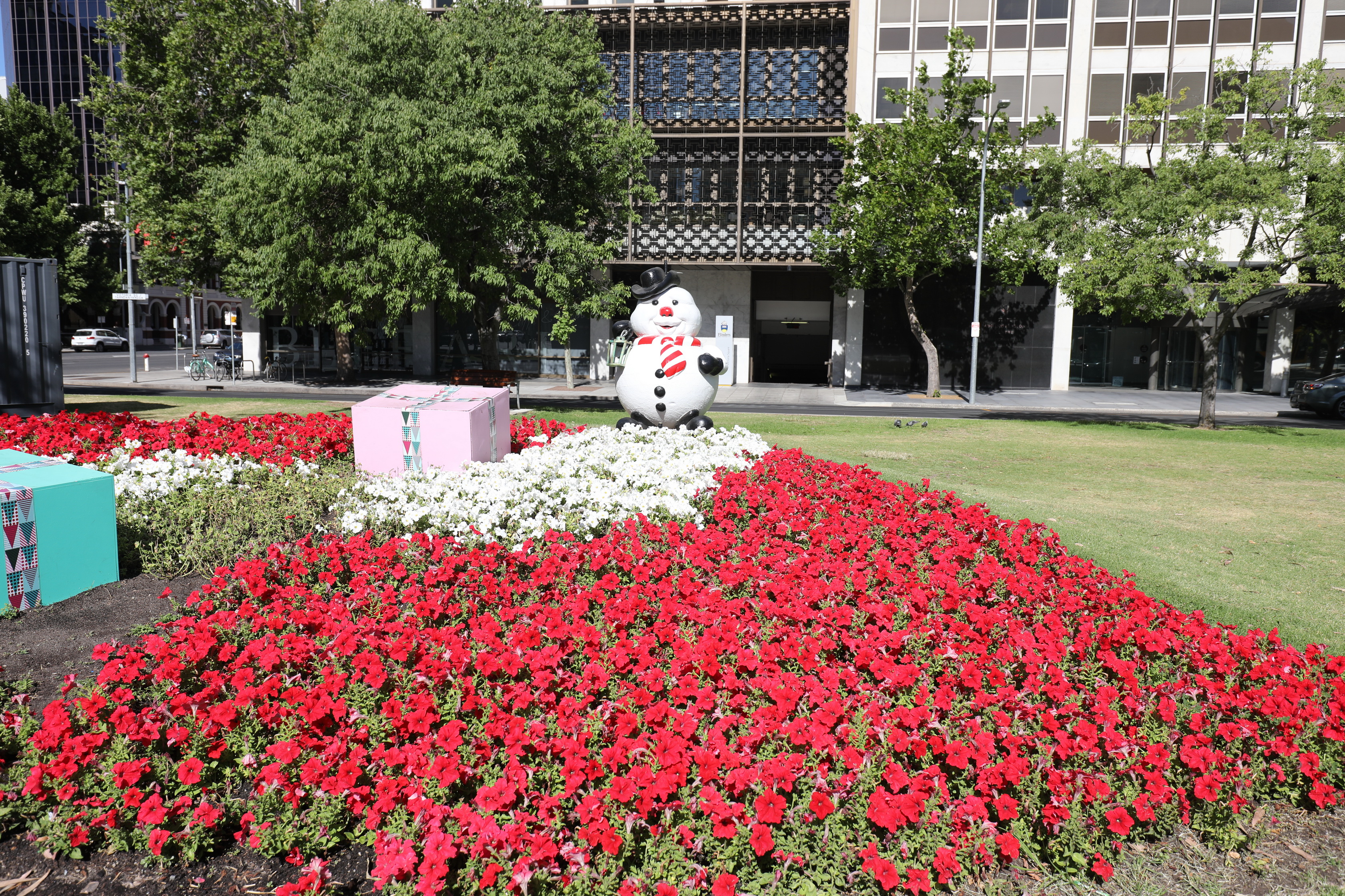 2019 12 12 16 57 05 Canon EOS 5D Mark IV 0017